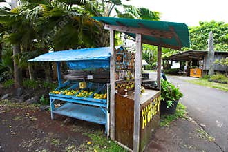 Self-serve honey and fruit stand