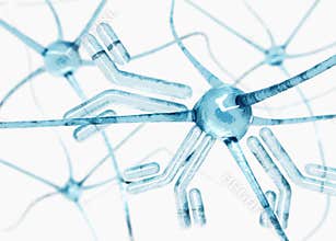 Antibody, immunoglobulins