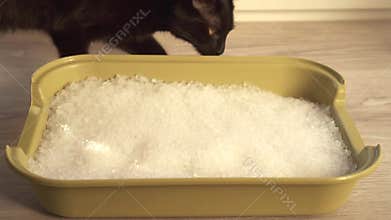 Cat toilet with white silica gel crystals