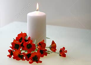 Remembrance Day