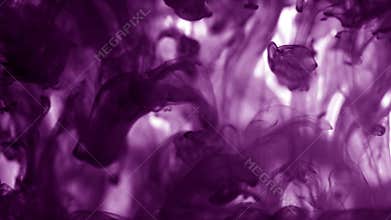 Beautiful background. Purple dye in water. Colored dark violet ink dropped into water. Lovely bright metamorphosis