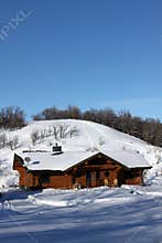 Log cabin in the woods