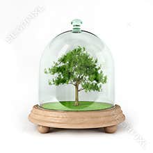 Protect Nature 01