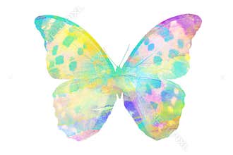 Watercolor butterfly. tropical insect for design. isolated on white background