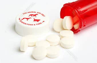 Veterinarian Prescription