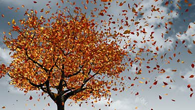 Concept Of Changing Of The Seasons From Spring To Autumn. Leaves Appear On The Tree, They Turn Yellow And Then Fall Off.