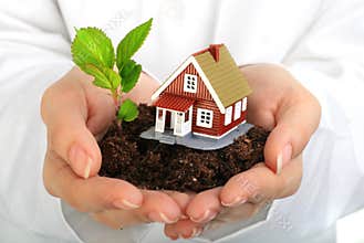 Small house and plant in hands.