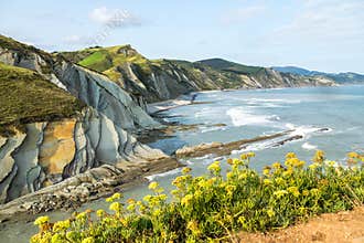 The Acantilado Flysch in Zumaia - Basque Country, Spain