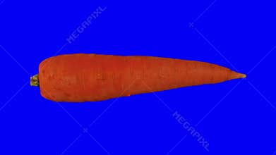 Rotating Carrot on Blue Background 03A Looping