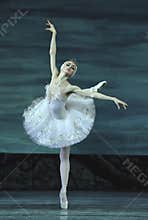 Swan lake ballet performed by russian royal ballet