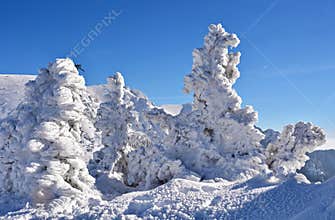 Frozen Landscape on mountain