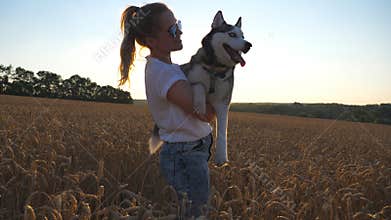 Happy girl with blonde hair carrying on hands her siberian husky dog among the spikelets at meadow. Young woman in