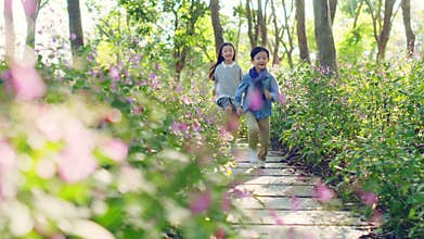 Two little asian children running through flower field in park