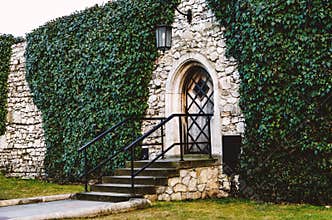 Antique arched wrought-iron doors in an old stone fortress wall using green lush ivy. Beautiful antique frnar over the old door