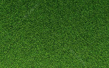 Grass Texture