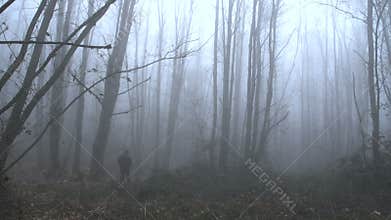 A lonely man walking away in a foggy forest FDV