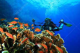 Scuba Diver explores coral reef with his camera
