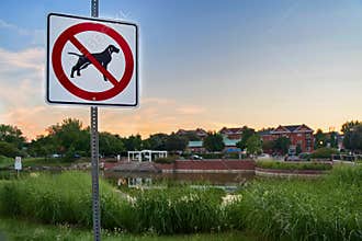 Image of dog prohibition sign or no dogs allowed next a pole and barbed wires in wonderful day with a blue sky in the background