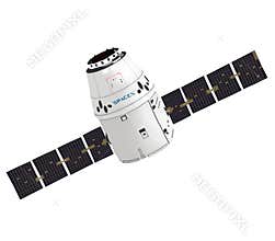 SpaceX Dragon spacecraft capsule. Vector graphic. Isolated image