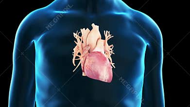 An old man´s heart