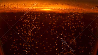 Extreme close-up transparent glass full of fresh craft beer with rising up air bubbles slowmo