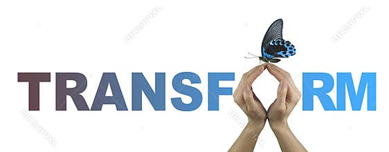 Symbolic Butterfly Metamorphasis Metaphor