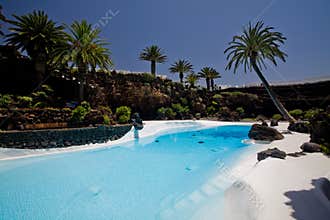 Tropical Swimming Pool