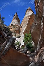 Tent Rock Hoodoos