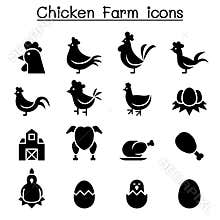 Chicken icon set