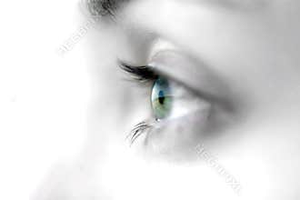 Eye
