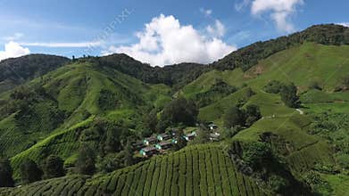 Aerial video of Cameron Highland