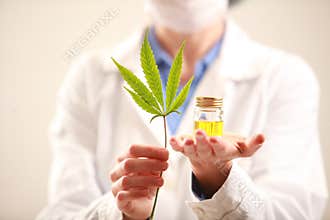 Woman doctor holding a cannabis leaf and oil.alternative medicine