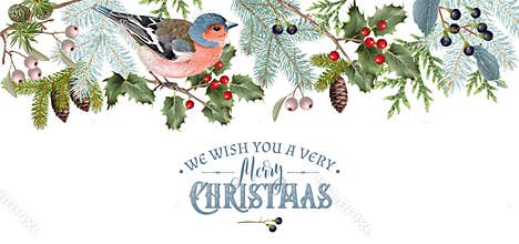 Bird Christmas border