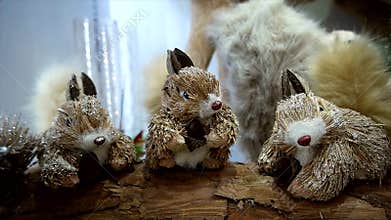 Christmas squirrel display