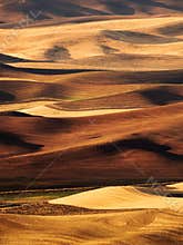 Palouse Valley in the fall
