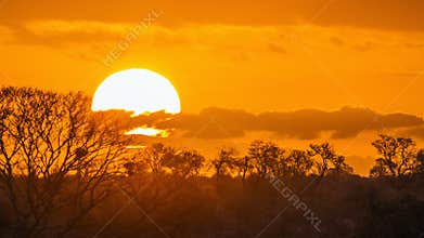 Sunset landscape in Kruger National park, South Africa