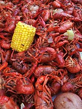 Boiled Crawfish