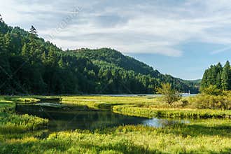 Shallow water in Goldstream Provincial Park with mountains on background and cloudy sky.