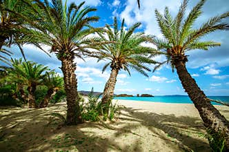 Scenic landscape of palm trees, turquoise water and tropical beach, Vai, Crete.