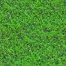 Grass seamless pattern (1 of 2).