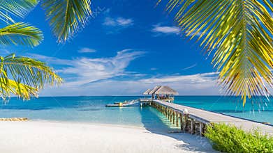 Beautiful tropical landscape. Maldives island beach and palm trees. Perfect tropical banner