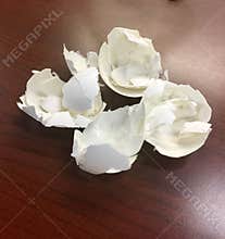 Eggshells of a Chicken Egg