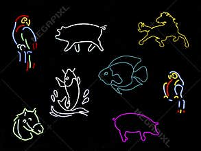 Neon Animal Signs