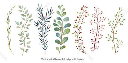 Handdrawn Vector Watercolour style, nature illustration. Set of