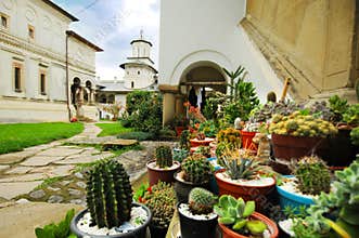 Monastery plants and buildings