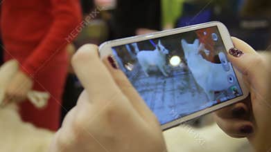 Female hands filming and taking photos of funny dogs at canine show on the phone