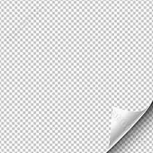 Paper page hangs with a wrapped up corner. Vector illustration