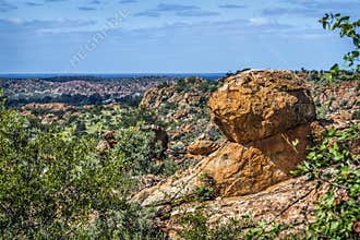 Boulder scenery in Mapungubwe National park, South Africa