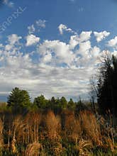 Autumn vista in the Finger Lakes Region of NYS