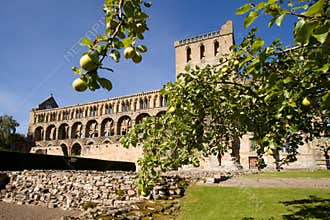 Jedburgh Abbey 2